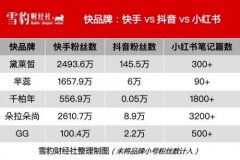 3亿老铁，230亿流量：快手“造牌运动”走上淘宝路？