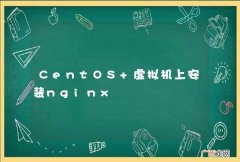 CentOS 虚拟机上安装nginx