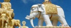 由于白象在泰国人眼里是圣器,禁止甚众,务必虔敬奉 白色的大象为什么不能看